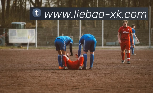 星空体育APP 高清赛事图